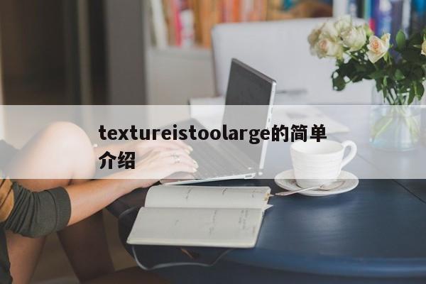 textureistoolarge的简单介绍