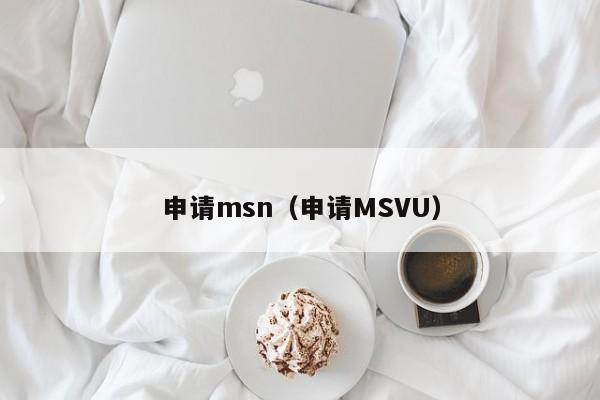 申请msn（申请MSVU）