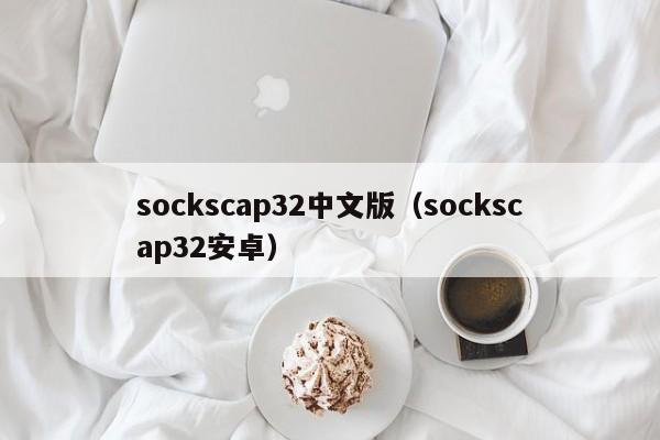 sockscap32中文版（sockscap32安卓）