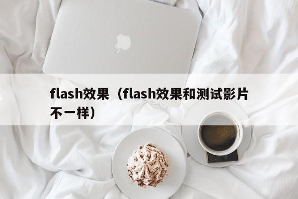 flash效果（flash效果和测试影片不一样）