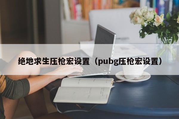 绝地求生压枪宏设置（pubg压枪宏设置）