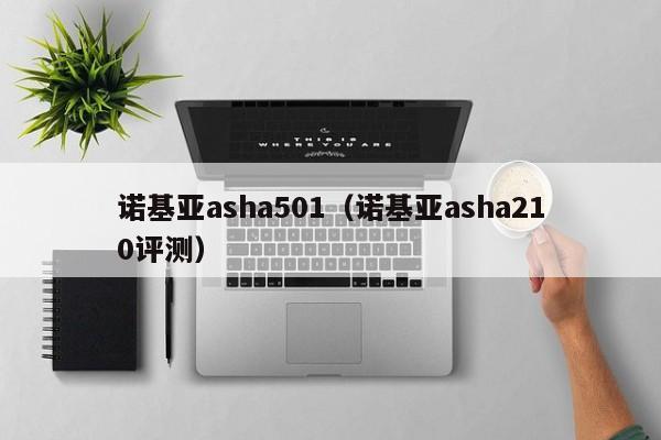 诺基亚asha501（诺基亚asha210评测）