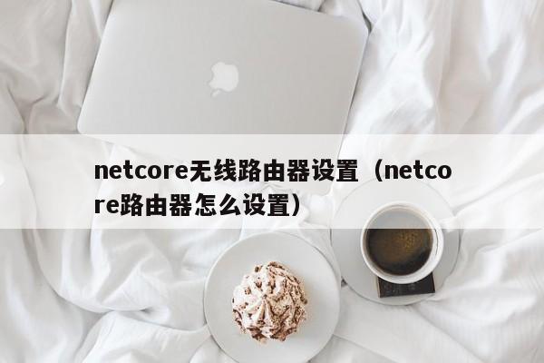 netcore无线路由器设置（netcore路由器怎么设置）