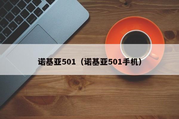 诺基亚501（诺基亚501手机）