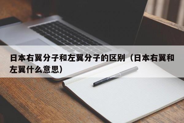 日本右翼分子和左翼分子的区别（日本右翼和左翼什么意思）