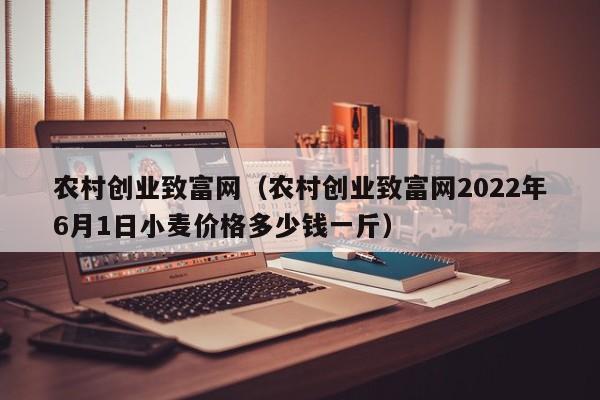 农村创业致富网（农村创业致富网2022年6月1日小麦价格多少钱一斤）