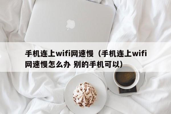 手机连上wifi网速慢（手机连上wifi网速慢怎么办 别的手机可以）