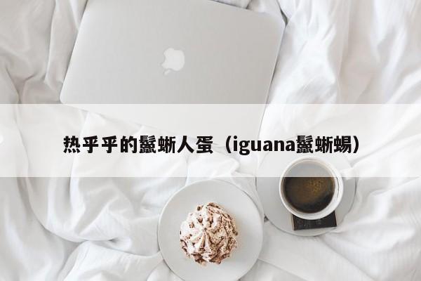 热乎乎的鬣蜥人蛋（iguana鬣蜥蜴）