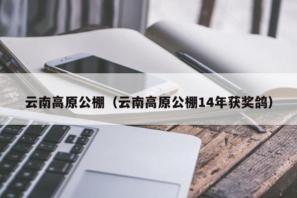 云南高原公棚（云南高原公棚14年获奖鸽）