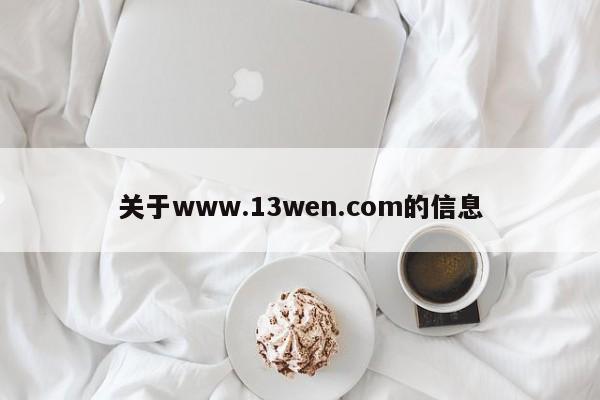 关于www.13wen.com的信息