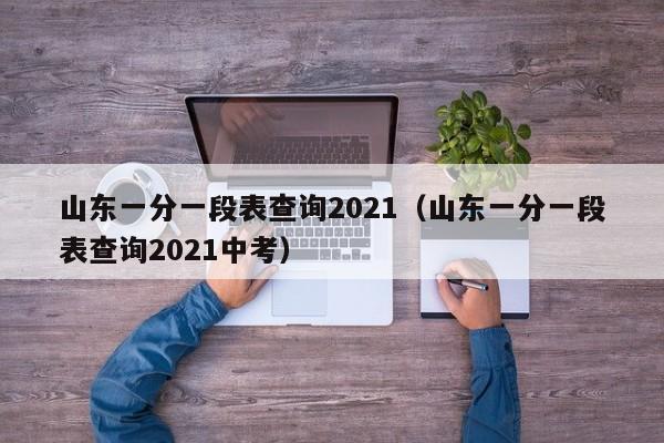 山东一分一段表查询2021（山东一分一段表查询2021中考）