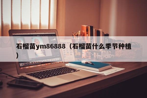 石榴苗ym86888（石榴苗什么季节种植）