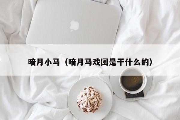 暗月小马（暗月马戏团是干什么的）