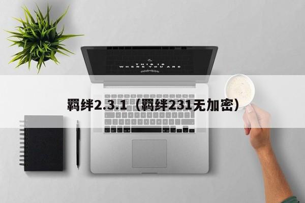 羁绊2.3.1（羁绊231无加密）