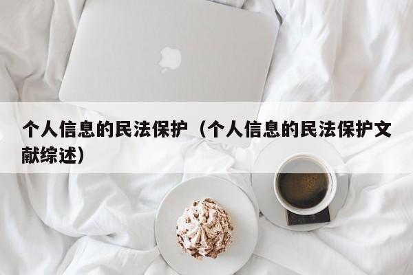 个人信息的民法保护（个人信息的民法保护文献综述）