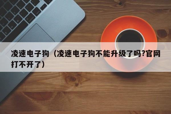 凌速电子狗（凌速电子狗不能升级了吗?官网打不开了）