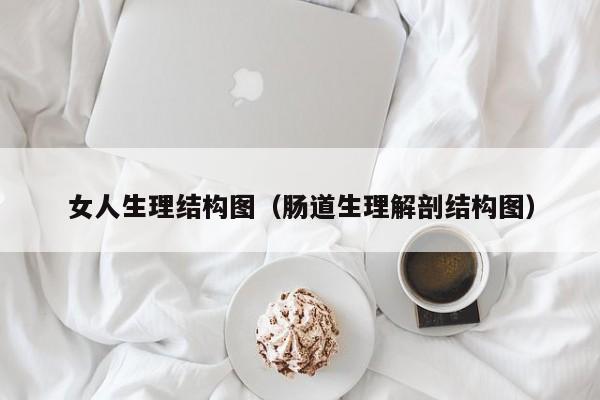 女人生理结构图（肠道生理解剖结构图）