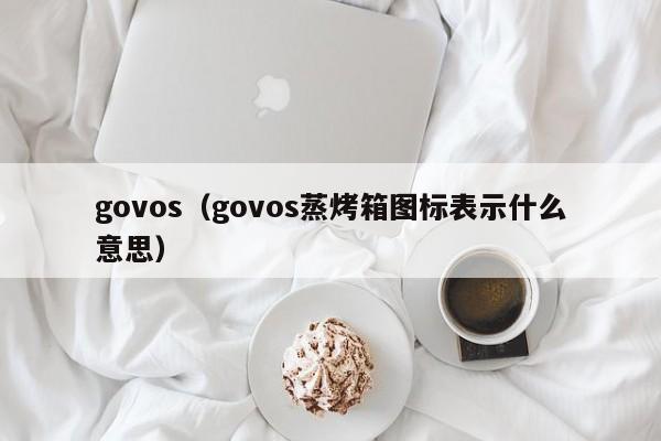 govos（govos蒸烤箱图标表示什么意思）