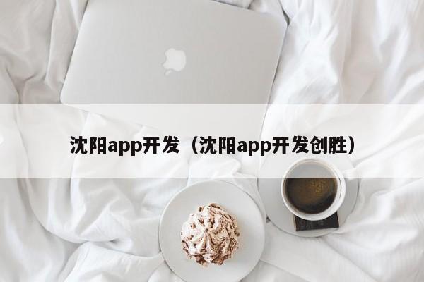 沈阳app开发（沈阳app开发创胜）