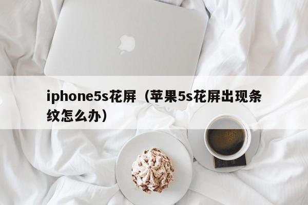 iphone5s花屏（苹果5s花屏出现条纹怎么办）