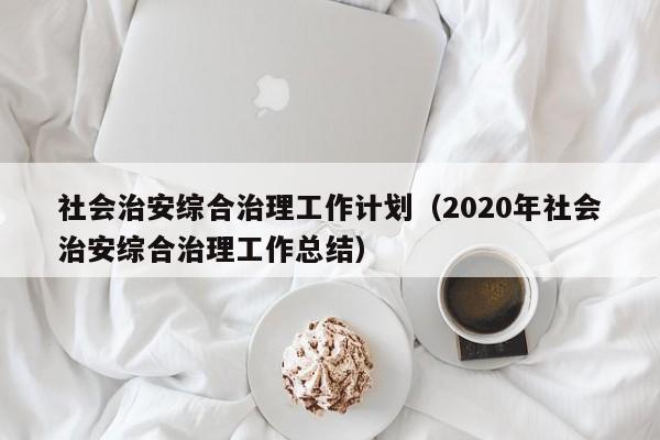 社会治安综合治理工作计划（2020年社会治安综合治理工作总结）