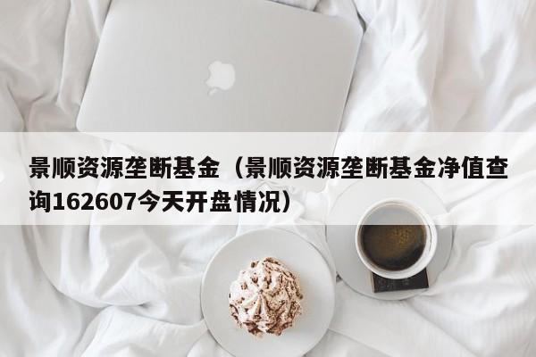 景顺资源垄断基金（景顺资源垄断基金净值查询162607今天开盘情况）