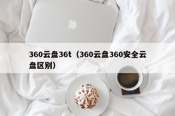 360云盘36t（360云盘360安全云盘区别）