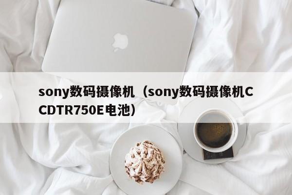 sony数码摄像机（sony数码摄像机CCDTR750E电池）